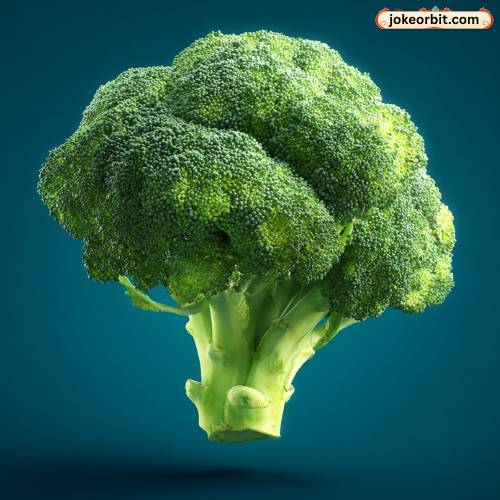 Broccoli Orbit 362+ Broccoli Jokes That Will Make Anyone Laugh - Jokeorbit