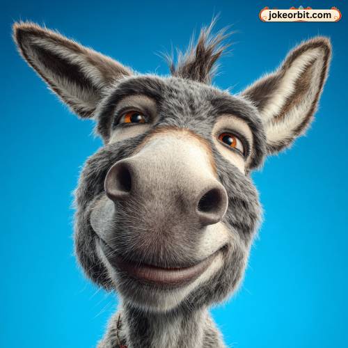 304+ Donkey Jokes to Make You Laugh