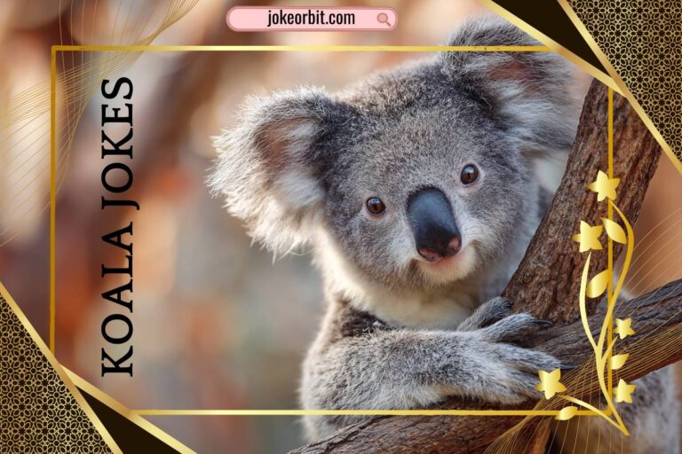koala jokes