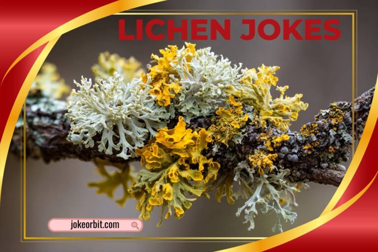 lichen jokes
