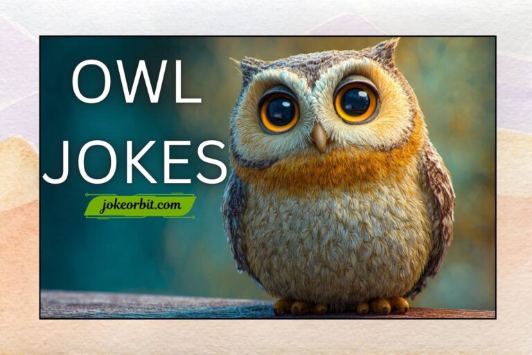 owl jokes