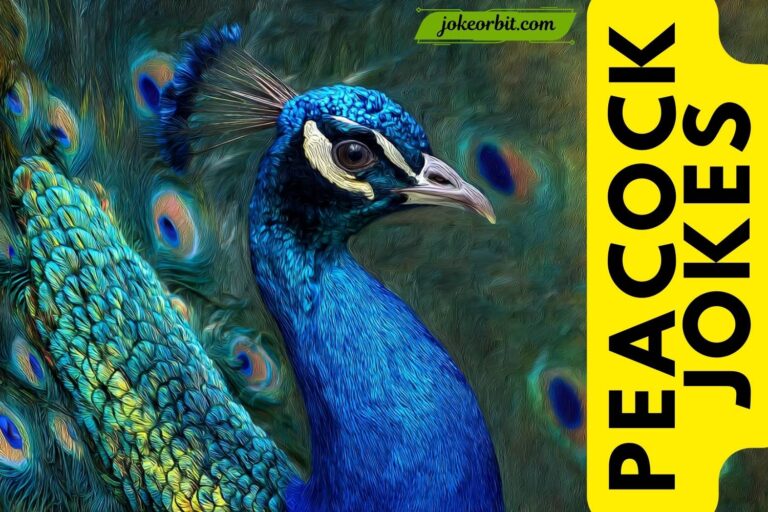 peacock jokes