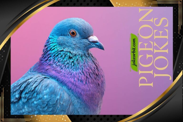 pigeon jokes
