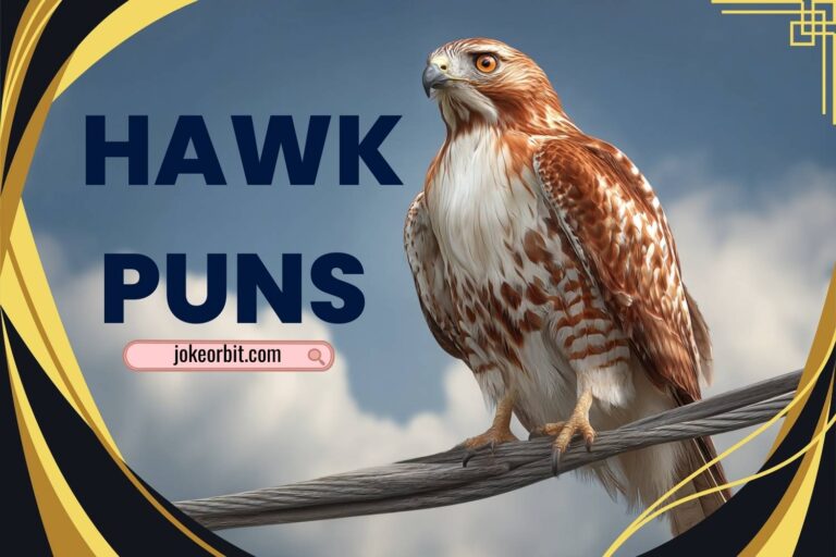 hawk puns