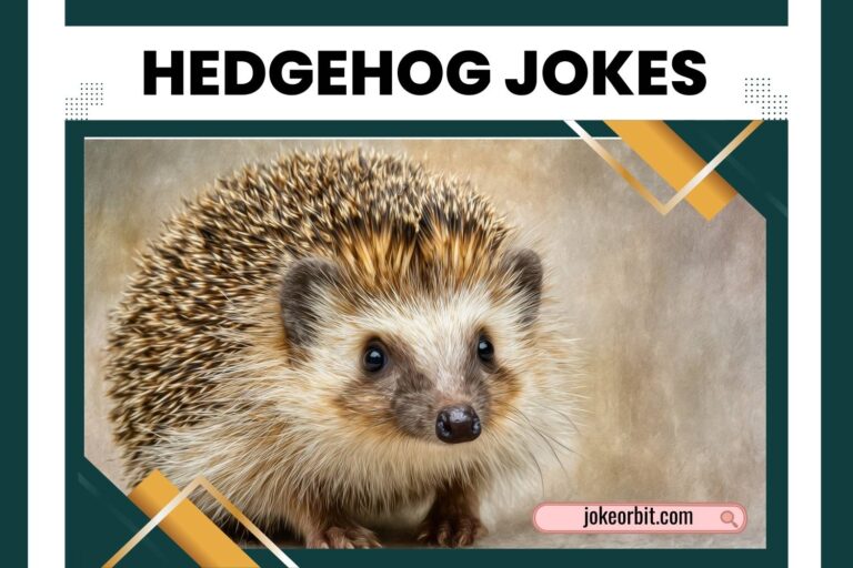 hedgehog jokes
