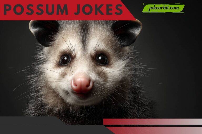 possum jokes