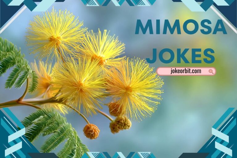 mimosa jokes