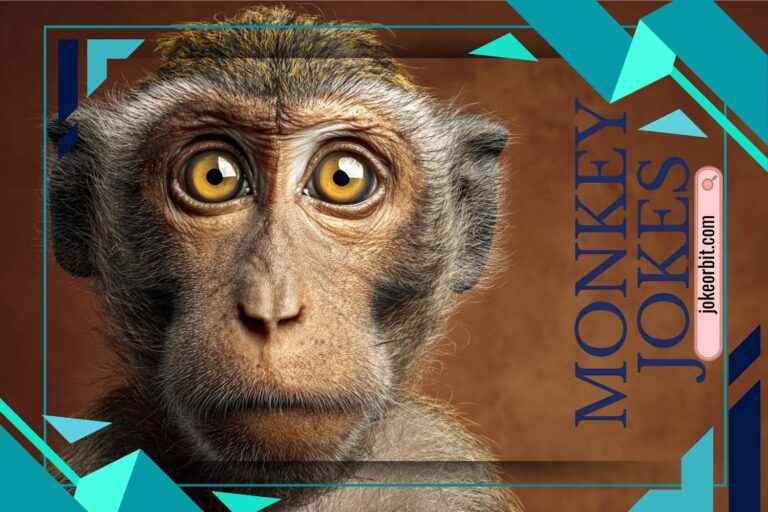 monkey jokes